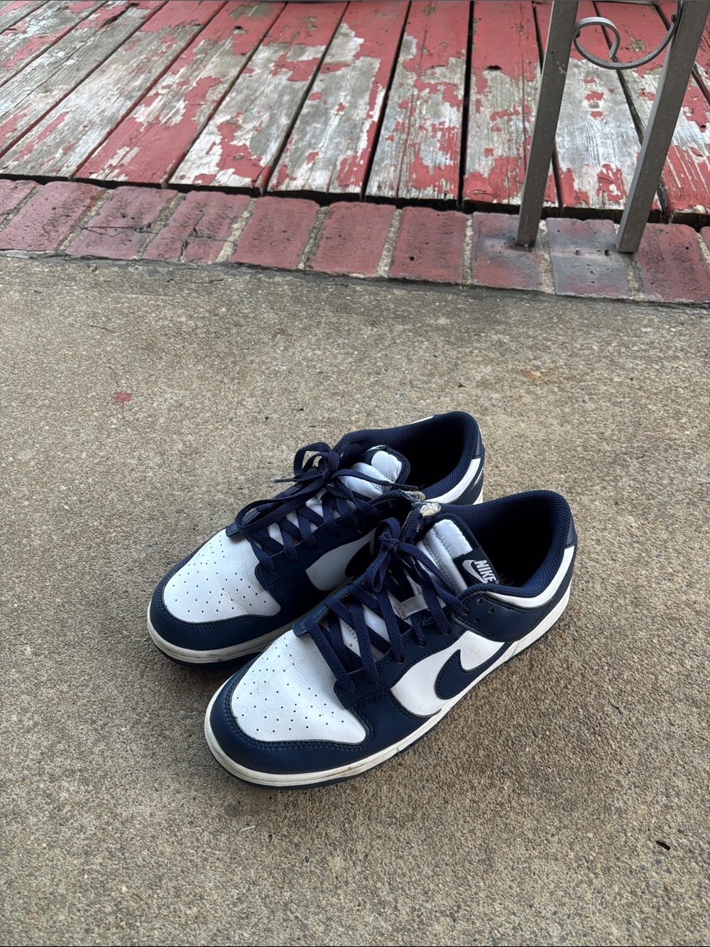 Nike Men’s Navy and White Low-Top Dunks